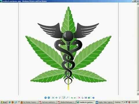 Medicinal Marijuana vs. the Medical Establishment
