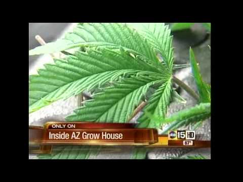 Arizona's Marijuana Grow Houses