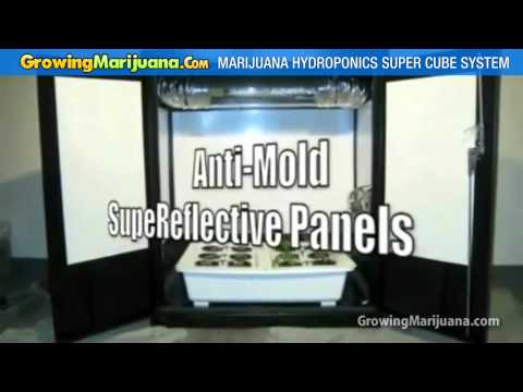 Weed Growing Equipment - Marijuana Hydroponics Super Cube System