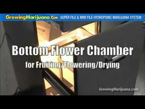 Hydroponic Marijuana Growing Cabinets for Indoor Weed Cultivation