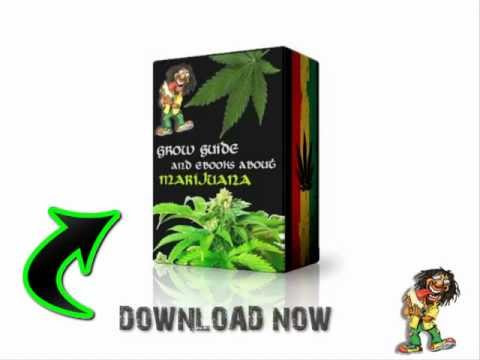 Marijuana eBooks - FREE DOWNLOAD