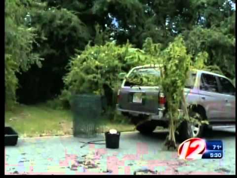 Man Arrested for Growing Pot in the Woods