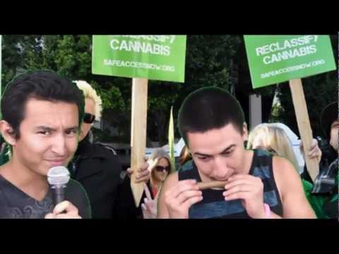 Cannabis Interview