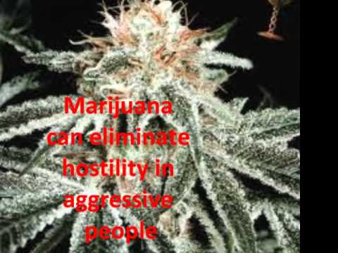 legalization of medicinal marijuana