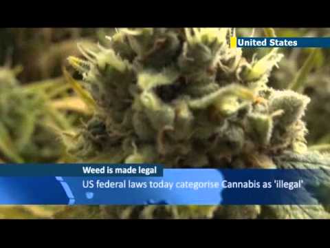 Colorado and Washington legalize cannabis