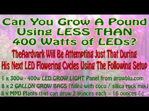 Can You Grow A Pound With 400 Watts? I Know 600 and 1000 watts Are Possible but What About LEDs?
