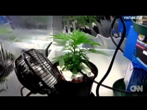 Youtube video leads to pot bust
