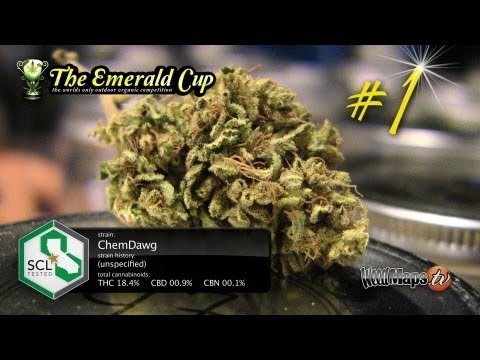 Top 20 Winning Flowers at the 2012 Emerald Cup