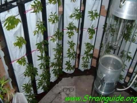 52 oz Vertical hydroponics Rockwool slab grow.