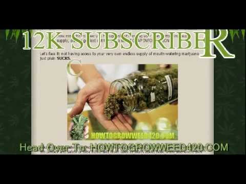How To Grow Weed Youtube Subscriber Contest + GET A FREE COPY OF THE MARIJUANA GROW GUIDE
