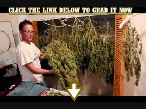 How To Grow Elite Marijuana l #1 Guide For Growing Weed l 2013 Edition