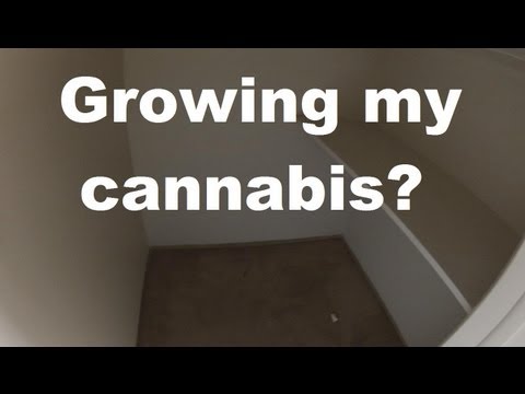 Growing my Cannabis?