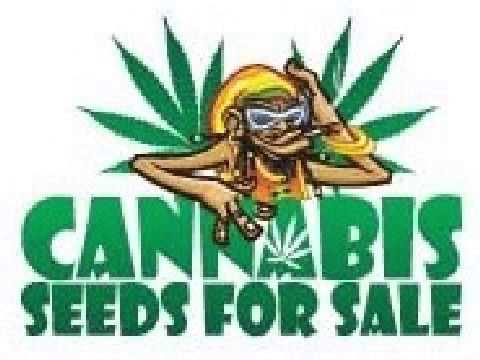 Grow Cannabis Strains