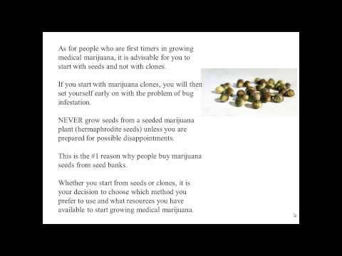 Growing Medical Marijuana Tips And How Do You Cultivate Cannabis