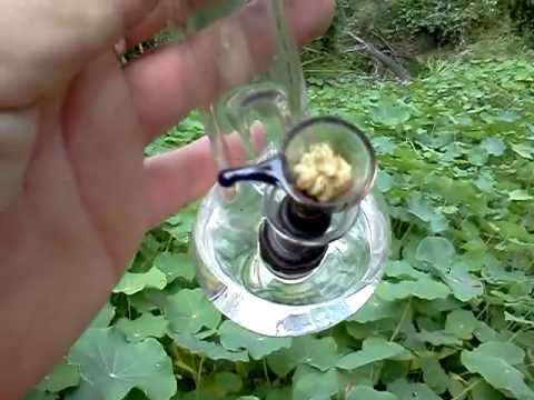 SOUR LA (SOUR DIESEL x LA CONFIDENTIAL) BONG HIT