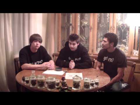 Canna College Episode 7 - Jack Herer strain review