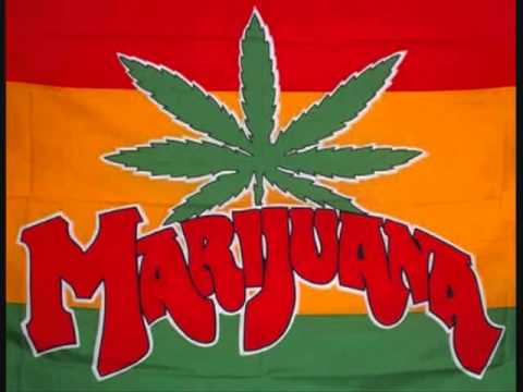 Growing Marijuana Song (Very Funny) Lyrics In Description!