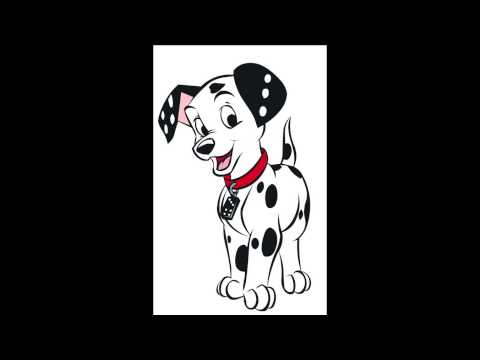 Dalmatian Pictures