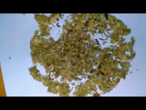 © Is it shitty or sticky? | GDP marijuana review! | Smells like 420 and Rubber.