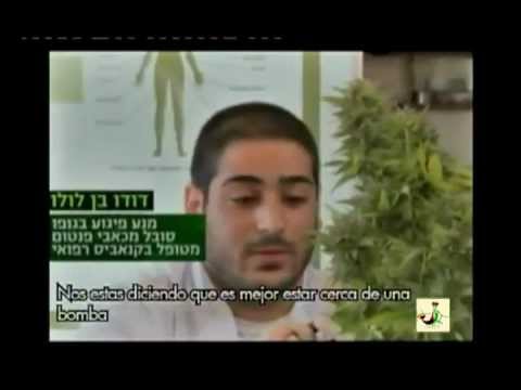 Cannabis medicinal - Marihuana recetada en Israel (3)