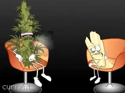 Crystal meth VS. Marijuana.  Who will win?
