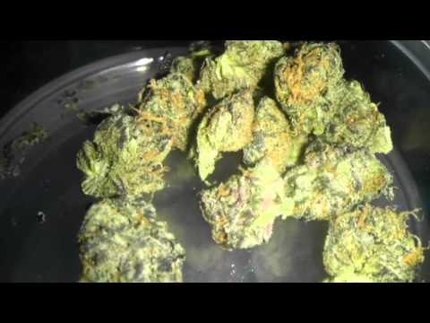 Cherry cookies medicinal marijuana