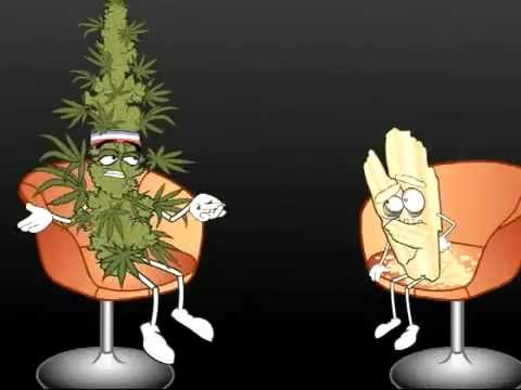 Marijuana VS  Crystal Meth   Funny but true video