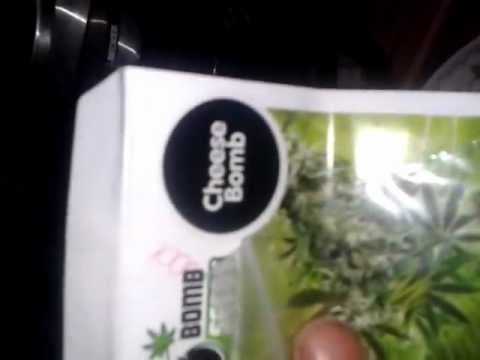 marijuana seeds from attitude seedbank