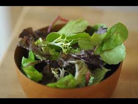 How to Grow a Mini Indoor Garden (HD)