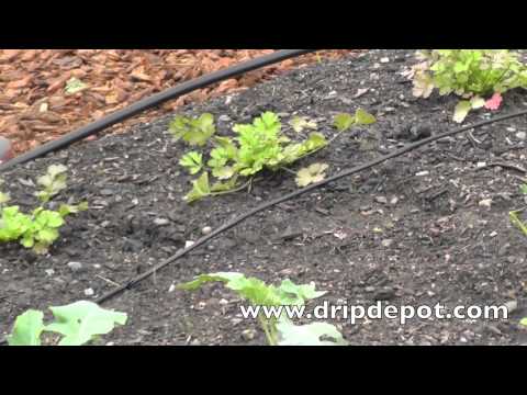 How to Install a Drip Irrigation System in a Small Irregular Garden