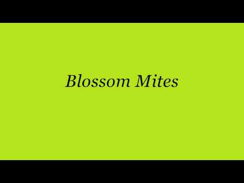 Plants: Blossom Mites