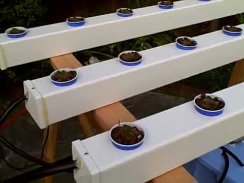 How to Build a homemade-Hydroponic-Garden 2013