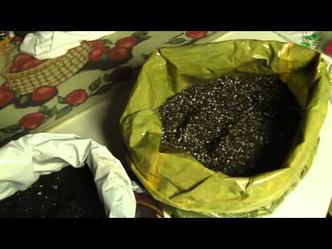 Potting Soil Experiment Mix UPDATE - Roots Organics Original & Fox Farm Happy Frog