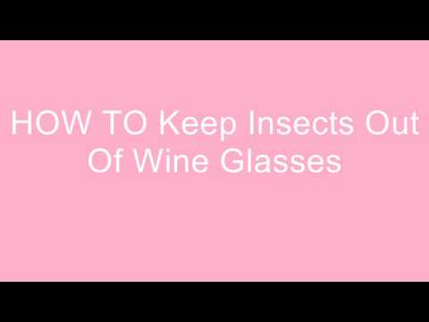 Food & Drink: HOW TO Keep Insects Out Of Wine Glasses