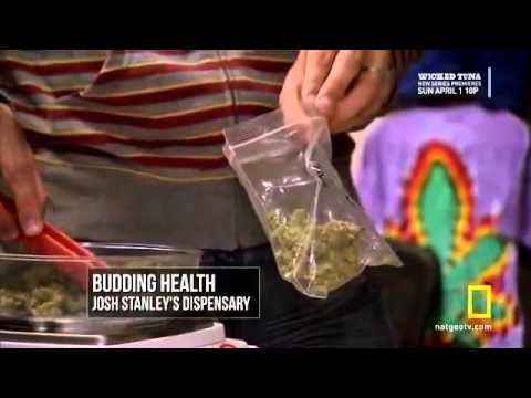 American Weed S01E04