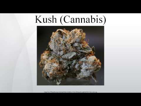 Kush (Cannabis) - Wiki Article