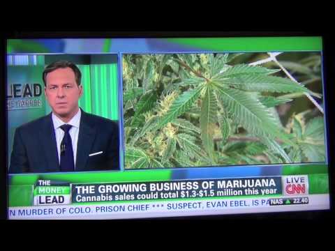 Fortune Magazine Marijuana Inc. Pot Goes Corporate $47 Billion Worth- Cheryl Shuman