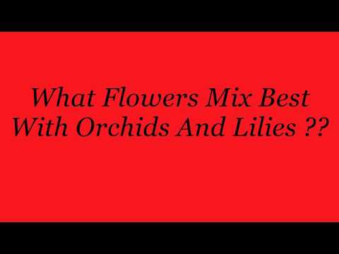 Plant Care: What Flowers Mix Best With Orchids And Lilies ??
