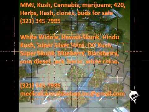 Medical Cannabis for Pains and Insomnia (321) 345-7985