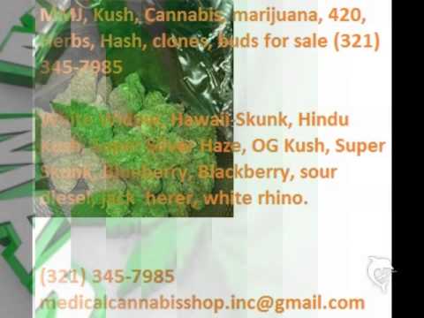Medical Marijuana For Italy and Canada (321) 345-7985