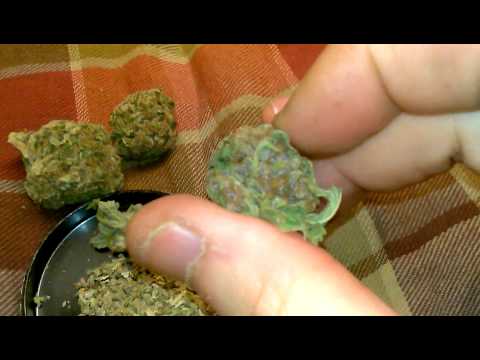 Best Street Weed! [Purple Flow] Medical Marijuana Review!