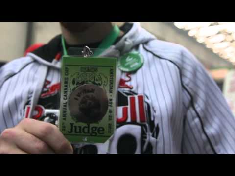 25th HIGH TIMES Cannabis Cup Review