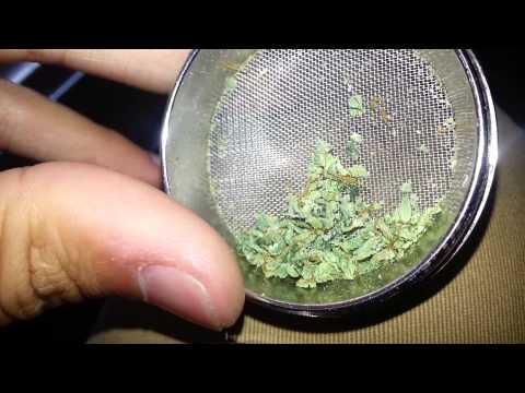SOUR DIESEL - HD cannabis packed slider