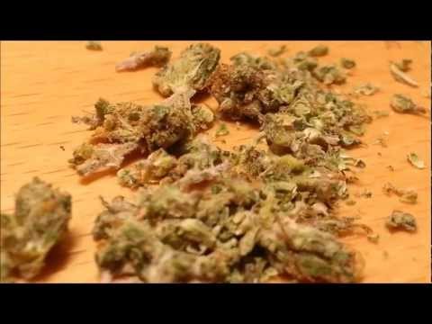 NugPorn Files #1 Og Kush