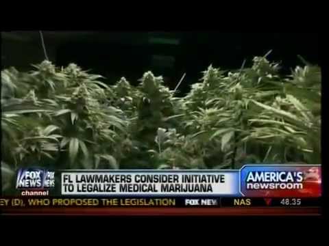Florida Medical Marijuana endorsed by Attorney John Morgan 