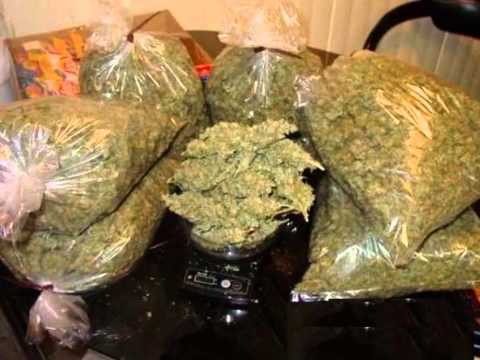 Marijuana , weed , pot , dope , ganja , cannabis
