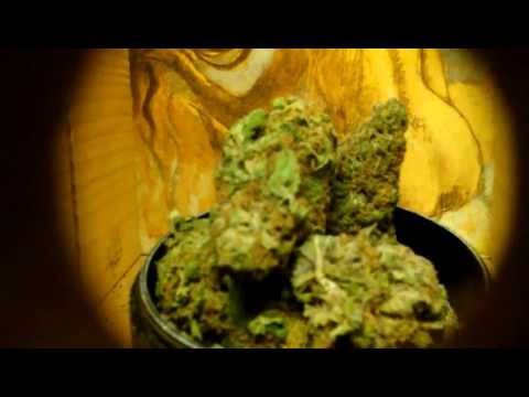 Purple Granddaddy Medical Marijuana Review in Box.