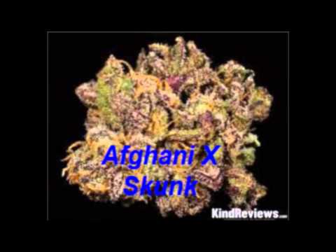 Marijuana strain dictionary video 1. Strains 1-29