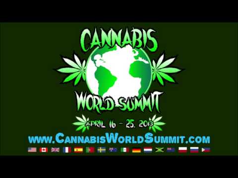 2013 Cannabis World Summit - Day 03 - Wayward Bill Chengelis