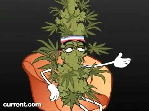 Marijuana v.s Crystal Meth Funny but True